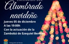 Programa de Navidad Benahavís 2024-2025